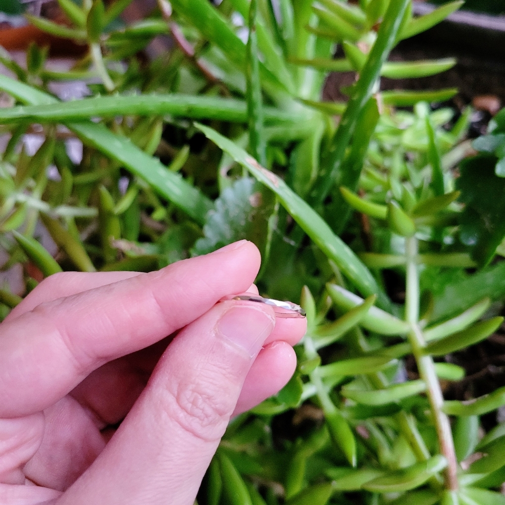 New Solid 925 Sterling Silver Hammered Ring - image 8